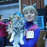Alliance Diva - 2 место WCF-ring Junior, Best Kitten