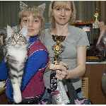 Alliance Diva - 2 место WCF-ring Junior, Best Kitten