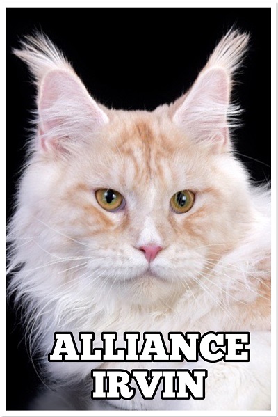 ALLIANCE IRVIN