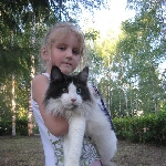 Russicats Peter I  (7,5 мес.)