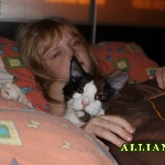 Russicats Peter I  (9,5 мес.)