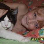 Russicats Peter I  (9,5 мес.)