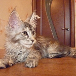 Serano Camilla, возраст 3 месяца