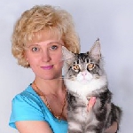 8 место ВЦФ-ринга Форест-шоу 2010. NomBIS. BIV male в серебряной группе.