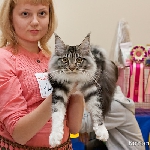 Alliance Diva (6 мес.) - 2 NomBIS! ВЫСТАВКА В КАЗАНИ 18-19 июня 2011г.