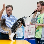 Alliance Diva (6 мес.) - 2 NomBIS! ВЫСТАВКА В КАЗАНИ 18-19 июня 2011г.
