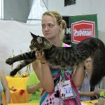 Alliance Boss (9 мес.) <br>на ФОРЕСТ-ШОУ 2011: <br>- взял BIV в табби-группе (Best Junior), <br>- NomBIS, <br>- NomBIS на альтернативный бест.