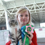 Alliance Diva (4,5 мес.). Выставка ФОРЕСТ-ШОУ 2011:<br>- заняла 3 место в ВЦФ-ринге молодых (лучший мейн кун ринга), <br>- NomBIS, <br>- взяла BIV в серебряной группе (Best Kitten), <br>- по ICU взяла 1 место у Пономарёвой, в финале у неё же 2 место, <br>- 2 место у Пикарделло, в финале у него же 5 место,<br>- 1 место у Влах, в финале у неё же 4 место,<br>- заняла 6 место в BREED-RING-Kitten MCO (монопородкa котят-мейн-кунов по ICU)<br>- NomBIS на альтернативный бест. <br><br>